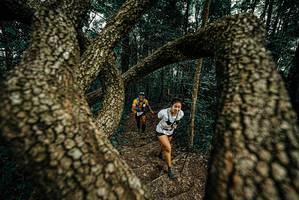 BIB: 
                            <button type="button" onclick="openModal(25668950)" class="btn btn-primary btn-sm float-right btn-popup" data-toggle="modal" data-target=".modal-high-quality">
                        <i class="fas fa-shopping-cart"></i> Add to Cart
                    </button>
                                            <button type="button" onclick="isThisMe(25668950, true)" class="btn btn-success btn-sm float-right btn-popup btn-isme hidden" data-toggle="tooltip" data-placement="bottom" title="นี่คือรูปของคุณใช่ไหม คลิกที่นี่เพื่อเอาเข้าอัลบั้ม">
                        <i class="fas fa-plus"></i> Add to album
                    </button>
                    <button type="button" onclick="isThisMe(25668950, false)" class="btn btn-warning btn-sm float-right btn-popup btn-isnotme hidden">
                        <i class="fas fa-ban"></i> Remove from album
                    </button>